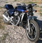 DSCN3485.jpg